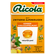 Ricola Gember Sinaasappelmunt Suikervrij Doosje 50GR