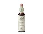 Bach Flower Remedies Gentiaan 12 20ML