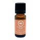 Soylites Essential Oil Entice Ginger Cinnamon 10ML
