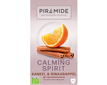 Piramide Calming Spirit Kaneel & Sinaasappel Thee 20ZK