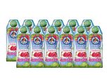 Cool Bear Framboos Appel Vruchtensiroop 12x750ML