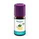 Baldini Gember Aroma 5ML