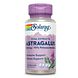 Solaray Astragalus Extract Capsules 30VCP