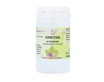 Holisan Haritaki Capsules 60CP
