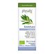 Physalis Aromatherapy Ravintsara 10ML