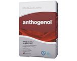 Masqueliers Anthogenol Capsules 60CP