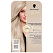Schwarzkopf Creme Supreme Crèmekleuring 10-19 Ultralicht Parelblond 1ST Schwarzkopf Creme Supreme Crèmekleuring 10-19 Ultralicht Parelblond 1ST