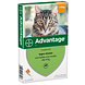 Advantage Kat 4ST Advantage Kat 4ST