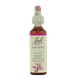 Bach Flower Remedies Appel 10 20ML