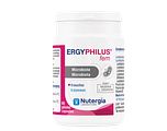 Nutergia Ergyphilus Fem Capsules 60CP