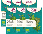 Yogi Tea Refresh & Focus Kruidenthee Multiverpakking 6x17ZK