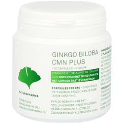 Naturapharma Ginko Biloba Capsules afbeelding