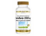 Golden Naturals Scutellaria 2000 mg Capsules 30CP Golden Naturals Scutellaria 2000 mg Capsules 30CP