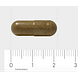 Orthica Ginkgo Capsules 30VCP Afmeting capsule Orthica Ginkgo Capsules 30VCP Afmeting capsule