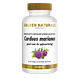 Golden Naturals Carduus Marianus Tabletten 60TB Golden Naturals Carduus Marianus Tabletten 60TB