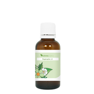 Balance Pharma Regenoplex 019 Dunne Darm 30ML