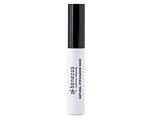 Benecos Natural Eyeshadow Base 1ST Benecos Natural Eyeshadow Base 1ST