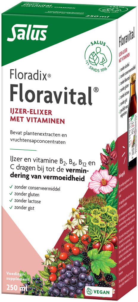 Salus Floradix Floravital 250ML