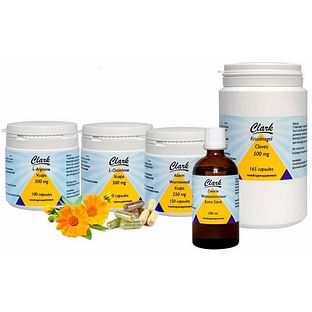 Clark Detox Kuur 3 Maanden 1ST