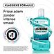 Listerine Mondspoeling Cool Mint 500ML Listerine Mondspoeling Cool Mint 500ML