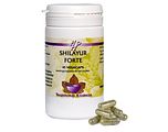 Holisan Shilayur Forte Capsules 45CP