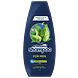 Schauma Shampoo For Men Voor Elke Dag 400ML Schauma Shampoo For Men Voor Elke Dag 400ML