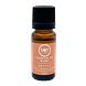 Soylites Essential Oil Entice Ginger Cinnamon 10ML