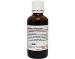 Pascoe Amara Druppels 50ML